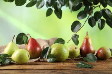 Tahta masada yeşil yapraklı taze armutlar.