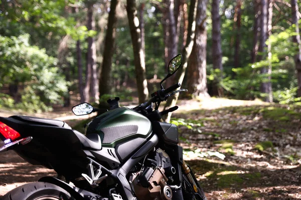 Ormana park edilmiş modern siyah motosiklet. Metin için boşluk