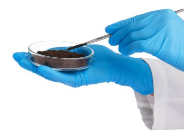 Beyaz arka planda toprak örneği olan bilim adamı, yakın plan.