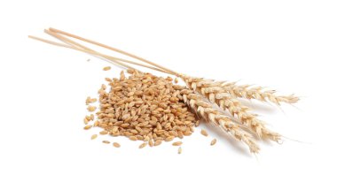 Buğday taneleri ve kuru çiviler beyaza izole edilmiş.