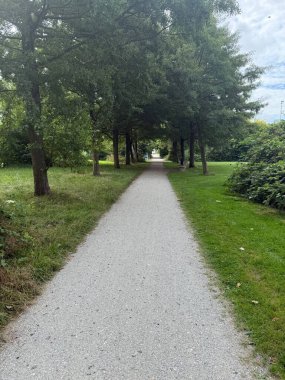 Güzel parktaki patika ve ağaçların manzarası