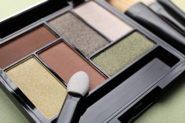 Göz farı paleti ve aplikatör açık yeşil arka planda, yakın plan. Makyaj kozmetikleri