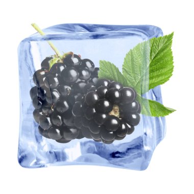 Buz küpündeki taze böğürtlenler beyaza izole edilmiş.