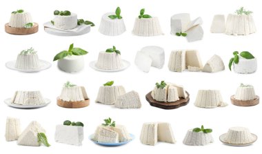 Beyaz üzerine izole edilmiş lezzetli ricotta peyniri, kolaj.