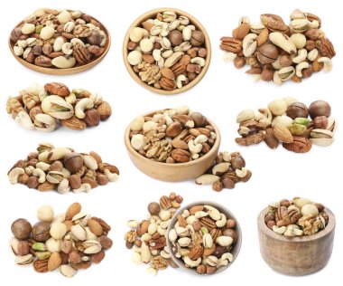 Beyaza izole edilmiş farklı fındıkların karışımı.