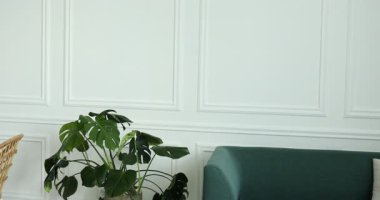 Yemek odasında dekor ve şık sandalyeli ahşap masa. Kamera sola hareket ediyor