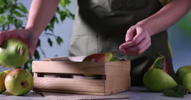 Açık gri mermer masada, ahşap sandığa taze armut koyan kadın, yakın plan.