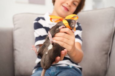 Hayaller gerçek olur. Evcil faresi olan mutlu çocuk koltuğunda, seçici odaklı.