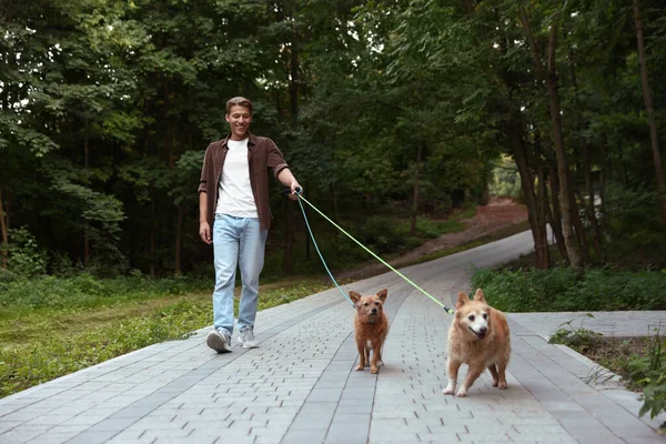 Genç adam dışarıda sevimli köpeklerini gezdiriyor.