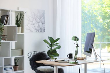 Ev çalışma alanı. Modern bilgisayar, ev bitkisi ve kırtasiye malzemesi ahşap masa içinde.