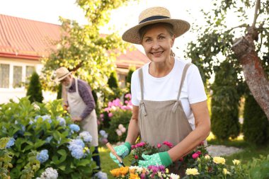 Bahçedeki bitkilerle çalışan şapkalı yaşlı çift, seçici odaklı.