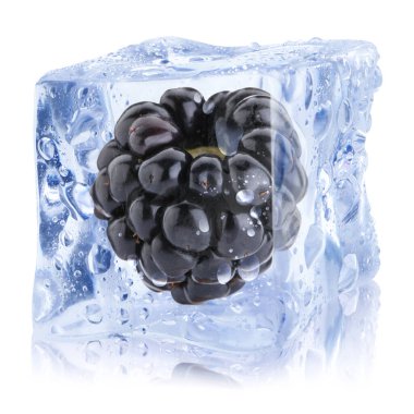 Buz küpündeki taze böğürtlen beyaza izole edilmiş.