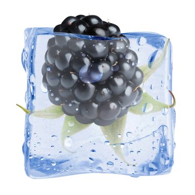 Buz küpündeki taze böğürtlen beyaza izole edilmiş.