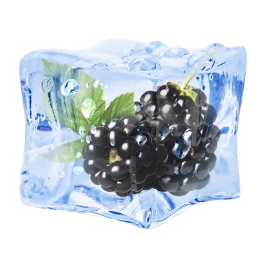 Buz küpündeki taze böğürtlenler beyaza izole edilmiş.