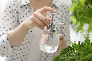 Genç bir kadın, güzel çiçekleri kapalı mekandaki şişelerden su püskürtüyor.