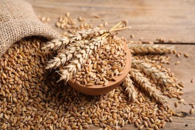 Tahta masaya buğday taneleri, dikenler, kase ve çuval bezi, yakın plan.