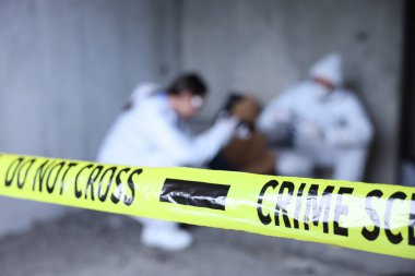 Adli tıp uzmanları terk edilmiş binada cesetle birlikte olay yerinde çalışıyorlar. Sarı polis bandına odaklanıyorlar.