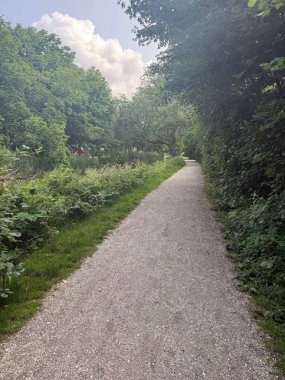 Parktaki patika ve ağaçların güzel manzarası