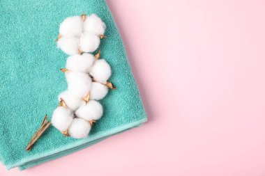 Turkuaz havlu ve pembe arka planda pamuk çiçekleri, üst manzara. Metin için boşluk