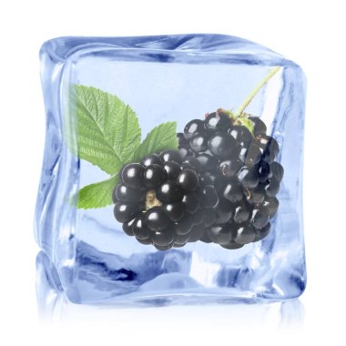 Buz küpündeki taze böğürtlenler beyaza izole edilmiş.