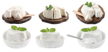 Beyaz üzerine izole edilmiş lezzetli ricotta peyniri, kolaj. Üst görünüm