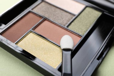 Göz farı paleti ve aplikatör açık yeşil arka planda, yakın plan. Makyaj kozmetikleri