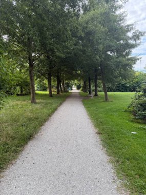 Güzel parktaki patika ve ağaçların manzarası