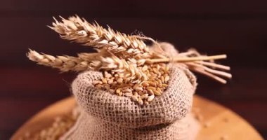 Çuvalda buğday taneleri ve bulanık arka planda çiviler, yakın plan.