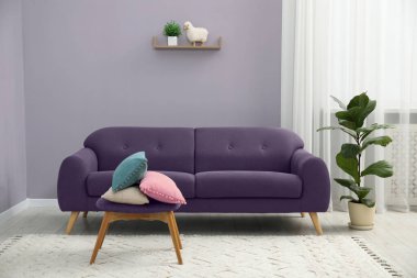 Mor kanepeli, banklı ve çiçekli oturma odası. İç tasarım