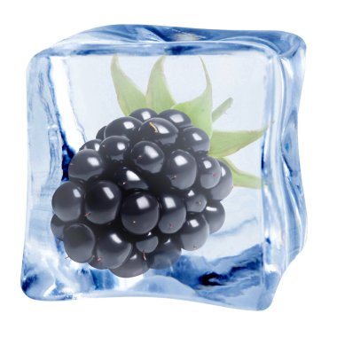 Buz küpündeki taze böğürtlen beyaza izole edilmiş.