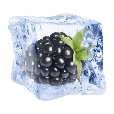 Buz küpündeki taze böğürtlen beyaza izole edilmiş.