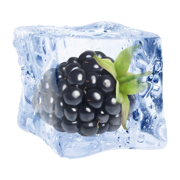 Buz küpündeki taze böğürtlen beyaza izole edilmiş.