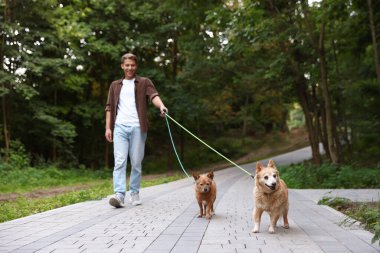 Genç adam sevimli köpeklerini gezdiriyor, seçici odaklanıyor.