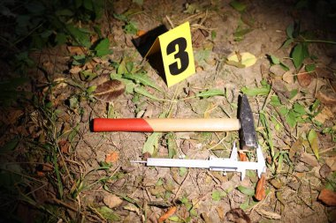 Adli tıp uzmanlığı. Açık havada, manzaranın üstünde işaretli ve kanıtlı suç mahalli.