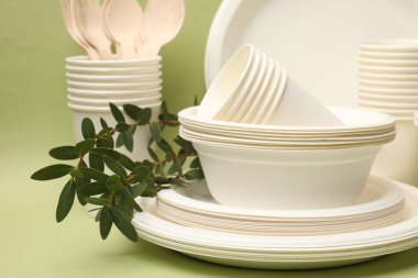 Disposable tableware and eucalyptus branches on green background, closeup