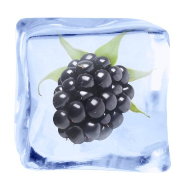 Buz küpündeki taze böğürtlen beyaza izole edilmiş.