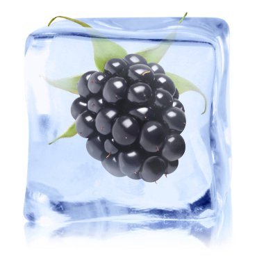 Buz küpündeki taze böğürtlen beyaza izole edilmiş.