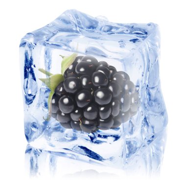 Buz küpündeki taze böğürtlen beyaza izole edilmiş.