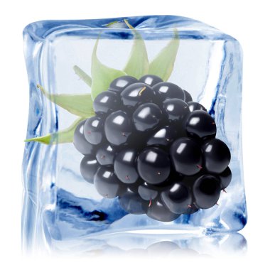 Buz küpündeki taze böğürtlen beyaza izole edilmiş.