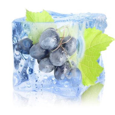 Beyaz zemin üzerinde yeşil yapraklı taze üzümler.