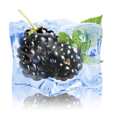 Buz küpündeki taze böğürtlenler beyaza izole edilmiş.