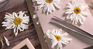 Kuru papatya çiçekleri, defter ve cımbız, tahta masa, düz uzanma. Kamera sağa hareket ediyor