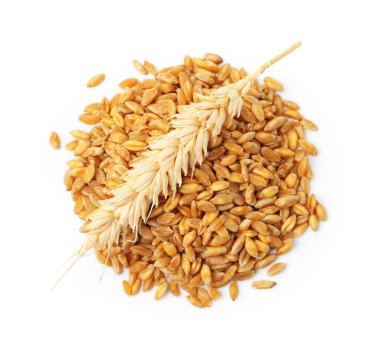 Wheat grains and dry spike isolated on white, top view