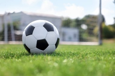 Yeşil çimlerin üzerinde futbol topu, mesaj için boşluk. Futbol oyunu