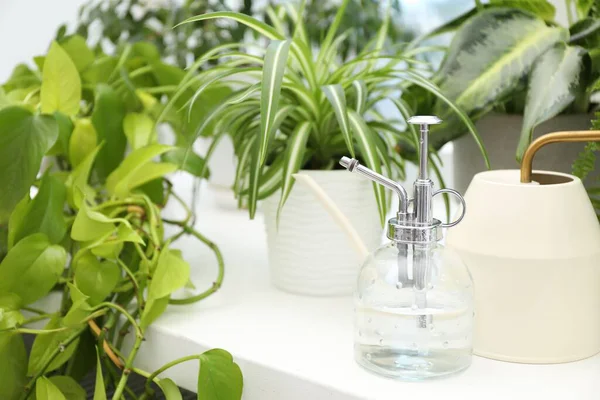 Spray bottle, water can and different houseplants on windowsill indoors