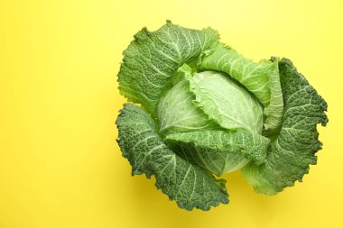One fresh Savoy cabbage on yellow background, top view. Space for text