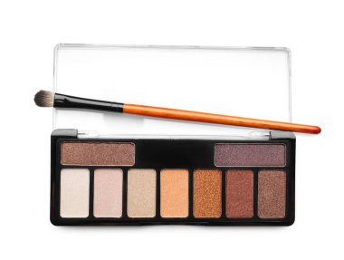 Beyaz, üst manzara üzerinde izole fırça ile güzel göz falı paleti