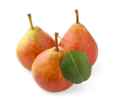 Taze armutlar, beyaz yapraklı yeşil yapraklar.