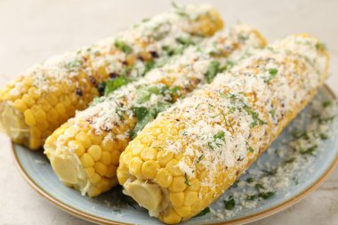 Maydanozlu ve peynirli mısır koçanları ışık masasında, yakın plan.