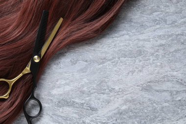 Gri arka planda kestane rengi saç teli ve kuaför makası, yakın plan. Metin için boşluk